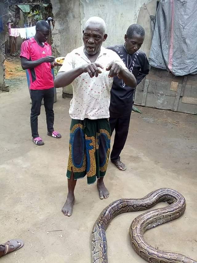 (photos) Villagers Jubilates As They K!ll A Huge Python And Set To Prepare Pepper Soup With It