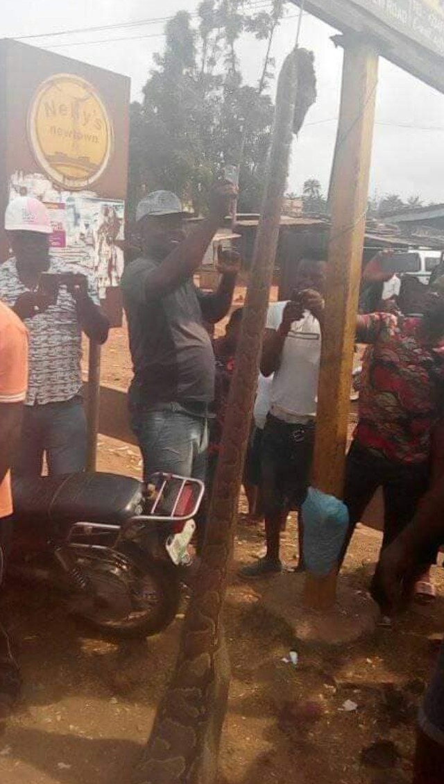 Igbo Man Guns Down Huge Python After Swallowing His Dog (Photos)