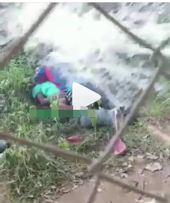 Man Pours Water On Couple Caught Having Sex By The Roadside Asisat Oshoala Reacts Video 8571