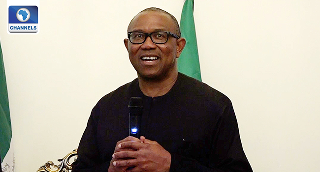 2023: LP Secretary Reveals What Can Stop Obi From Winning - Vimarsana News