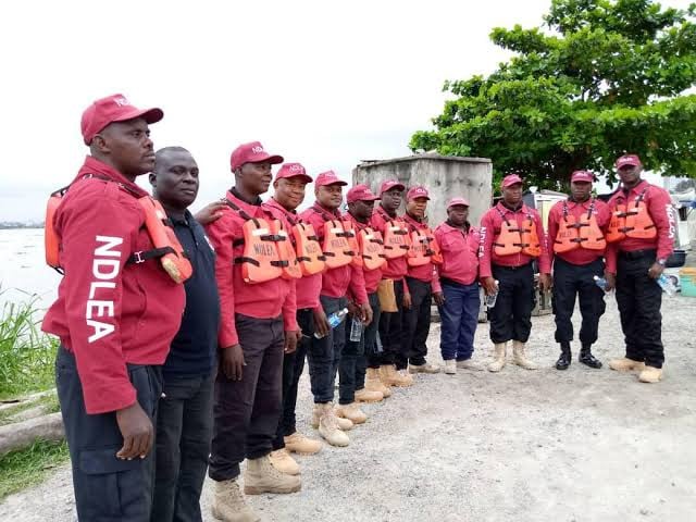 NDLEA To Go After Drug Peddlers Before 2023 Elections - Vimarsana News