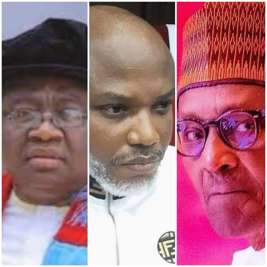 Nnamdi Kanu's Release Best Gift to Ndigbo Before Your Exit – Prof Gregory Ibe writes Buhari – Igbere TV - Vimarsana News