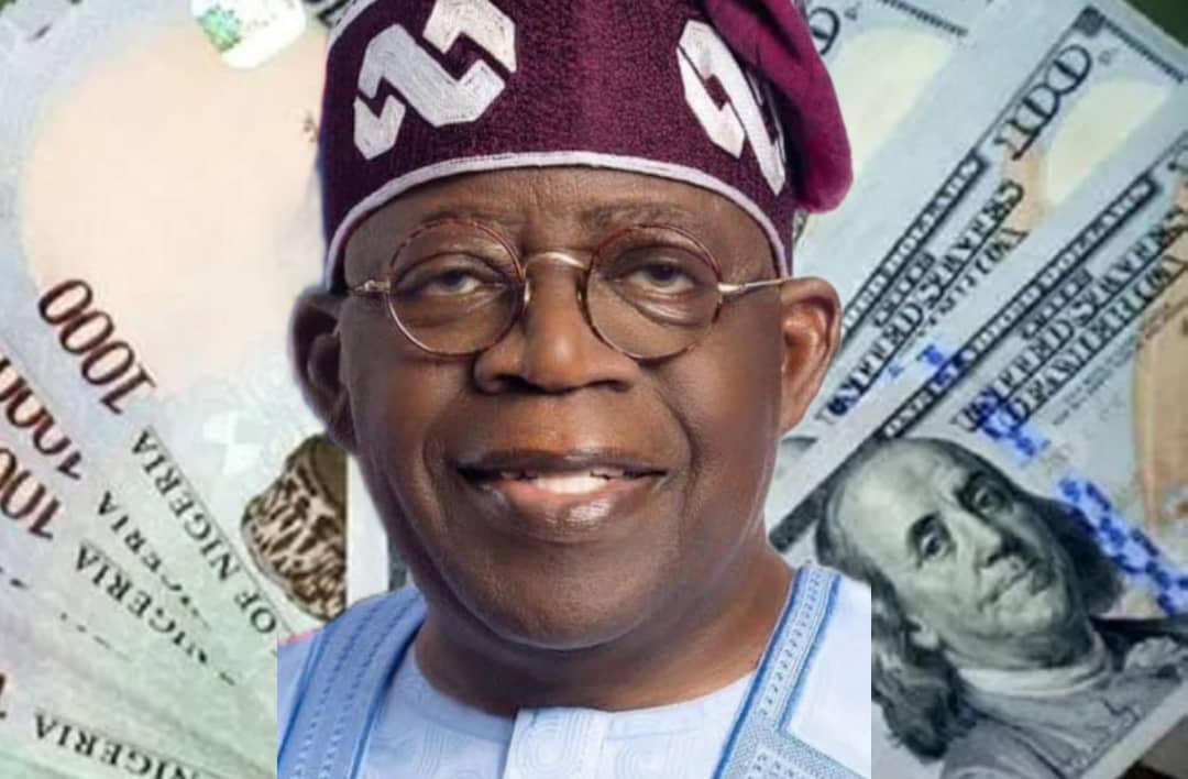 BREAKING!! Naira Crashes at I&E Market as Tinubu Devalues Currency - Vimarsana News