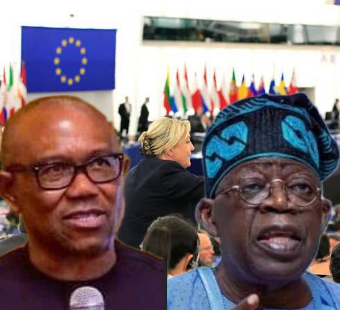 President Tinubu Sends Strong Warning To The Judiciary Over Election Petitions - Vimarsana News