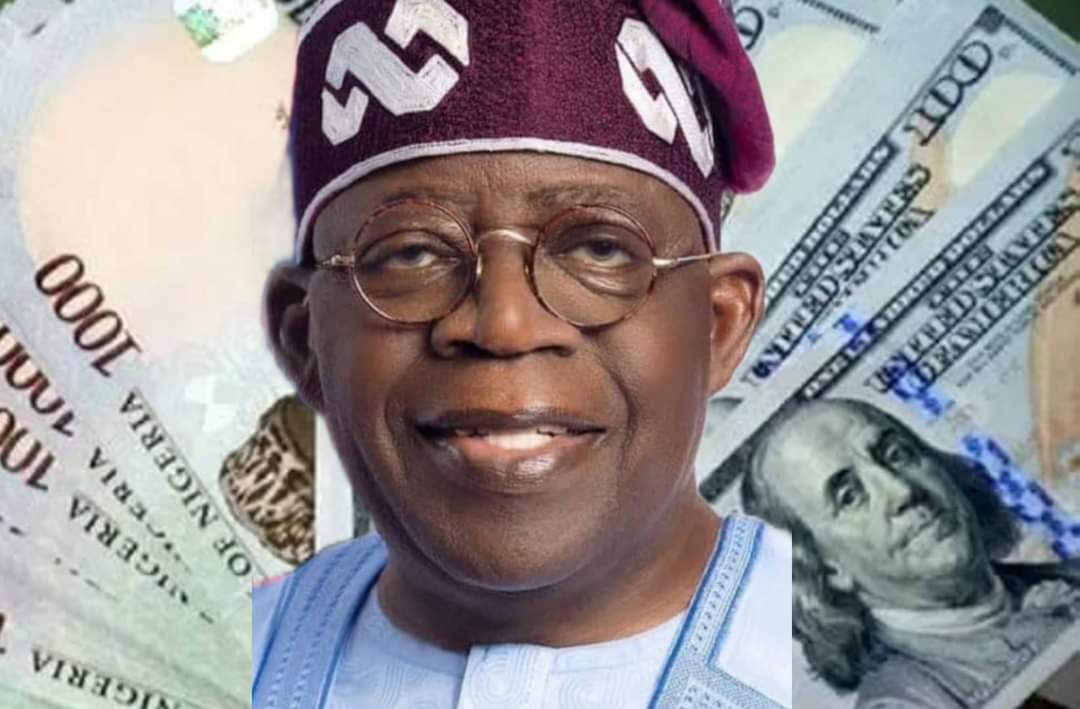 Tinubu Considers Soludo's Naira Re-denomination To Save Currency - Vimarsana News