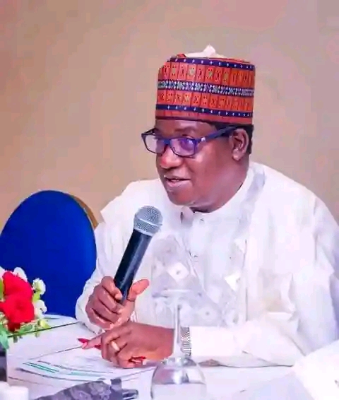 Stop Abusing Electricity Workers, Pray For Them -Minister Of Power, Adelebu - Vimarsana News