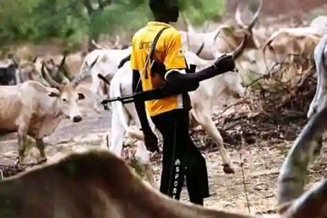 Suspected Fulani Herdsmen On Rampage, Kidnaps A Reverend Father In Enugu - Vimarsana News