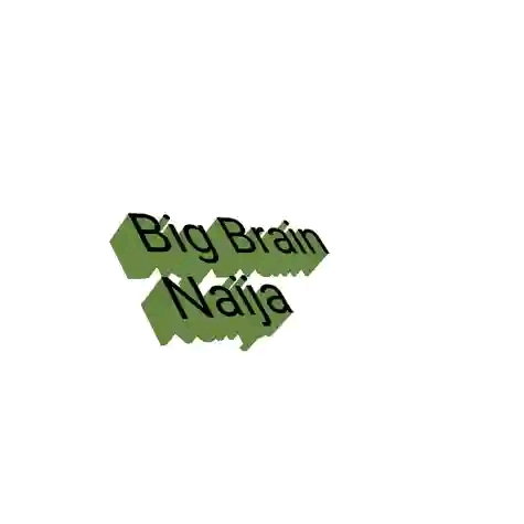 Big Brain Naija: A Reality TV Show That Will Spark Creativity And Innovation - Vimarsana News