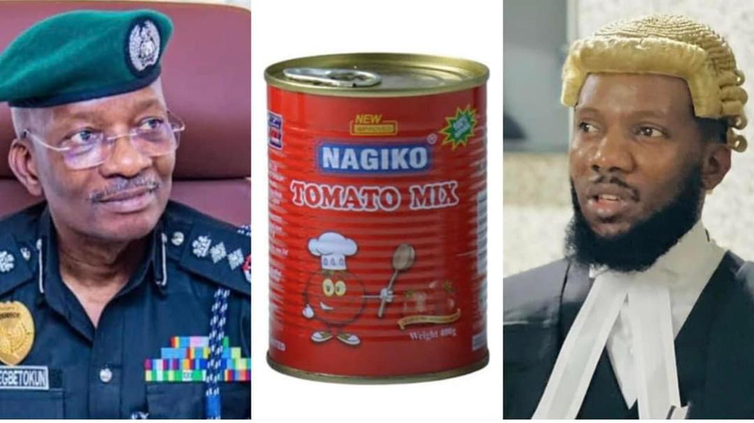 Female Customer, Chioma Egodi Files N500 Million Suit Against Erisco Company, IGP Over Illegal Detention - Vimarsana News