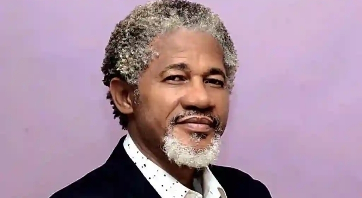 Biafra: Show Evidence Of Your Project In Southeast – Omirhobo Challenges Gowon - Vimarsana News