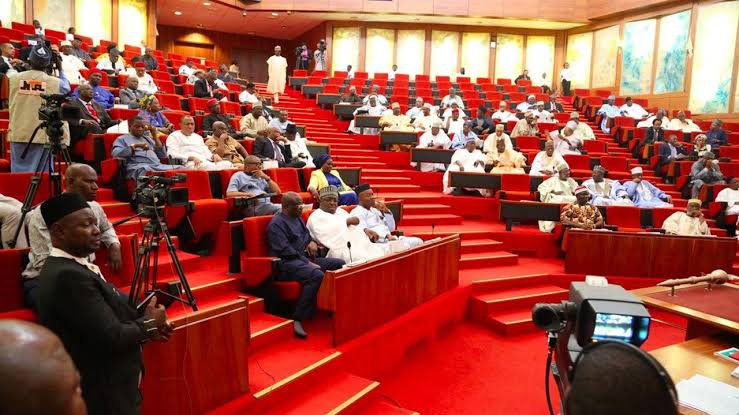 Budget: "Senators Disappointed At Flagrant Passage of Three Appropriation Acts In One Fiscal Year" – Dele Akin – Igbere TV - Vimarsana News