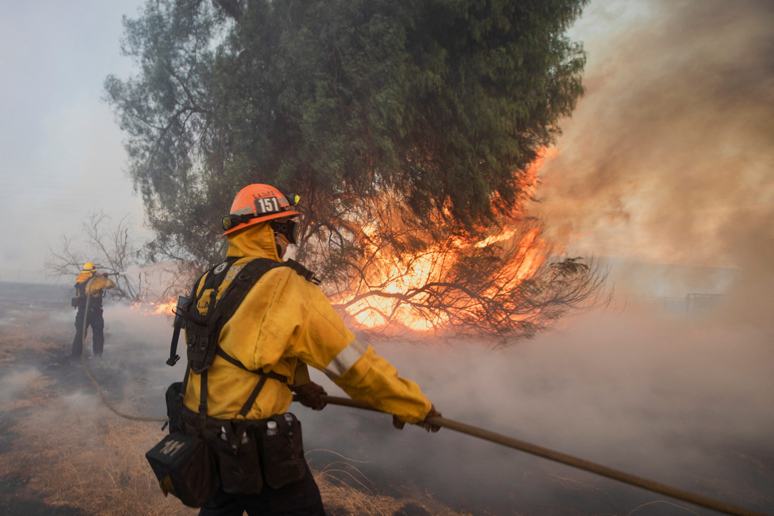 New Wildfires Breaks Out In Los Angeles, 31,000 People Evacuated ...
